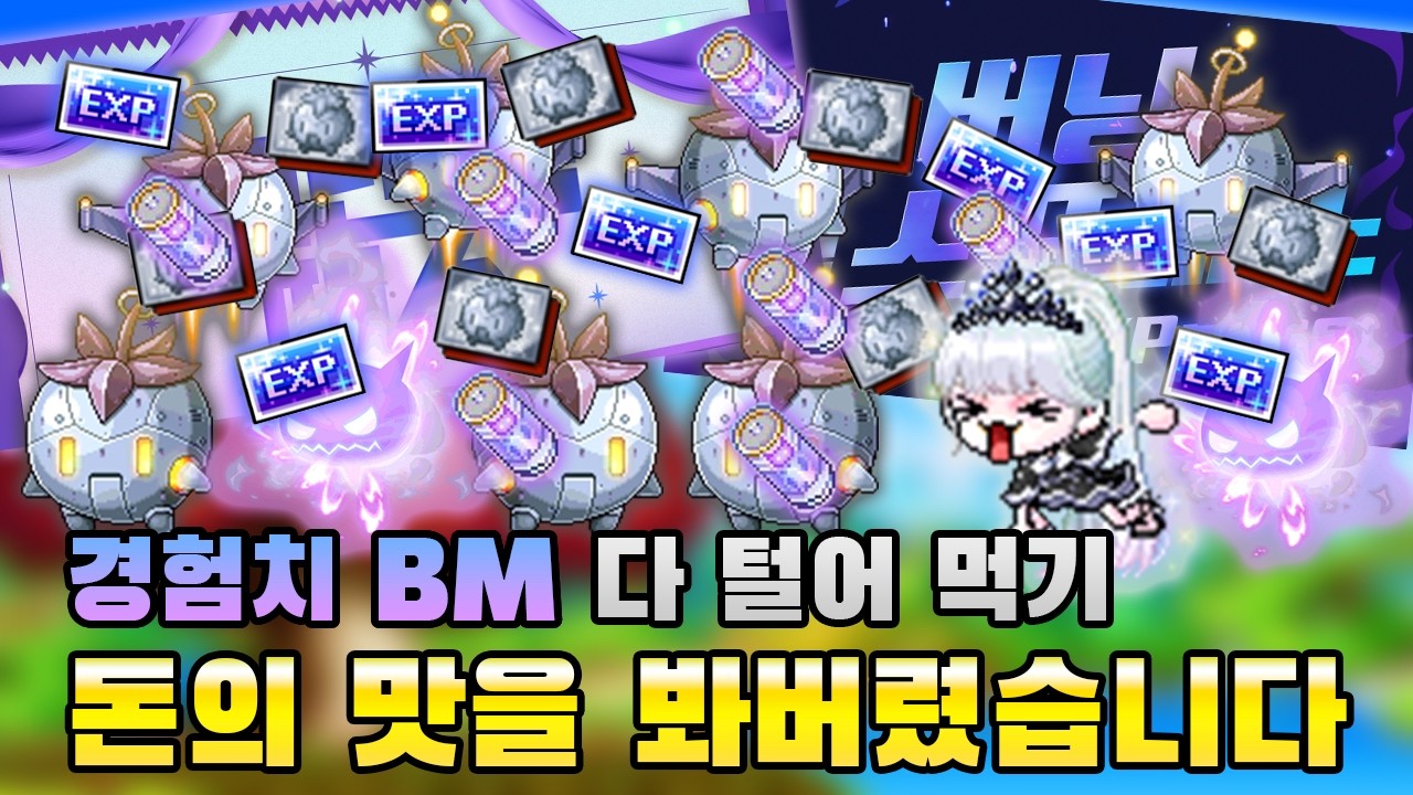 경험치 BM이 좋긴 좋구나?