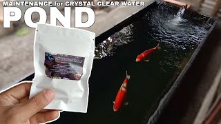 HOW TO CLEAN KOI POND for Crystal Clear Pond