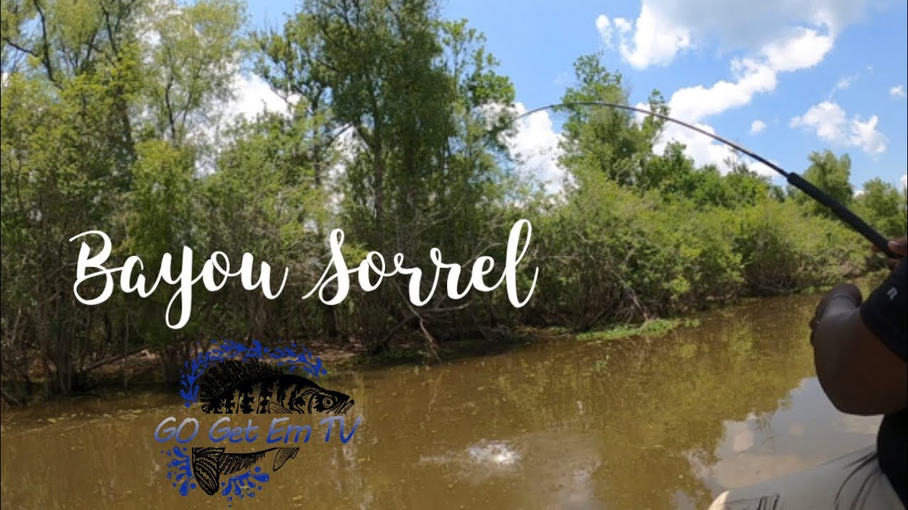 Mixed bag at Bayou Sorrel! YouTube