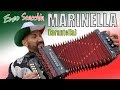 Marinella tarantella di enzo scacchia campione del mondo di organetto folk music tarantella dance
