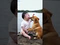The baby got separated from his mother in the wild, and the dog stayed with the baby, guarding the