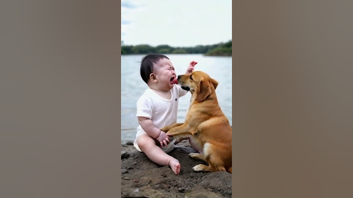 The baby got separated from his mother in the wild, and the dog stayed with the baby, guarding the