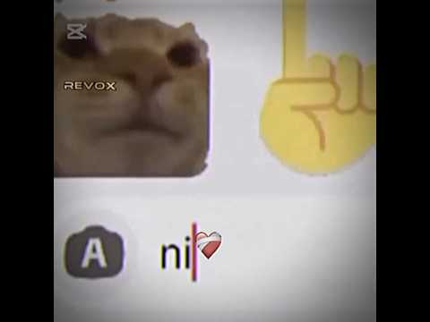 Bro I Just Want To Write Night Trending Edit Viral 2025 Funny Memes Fyp Hearttrend Shorts