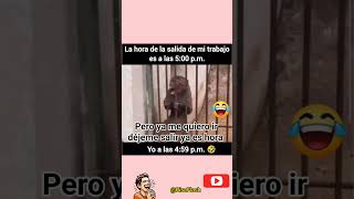 #chistes#humor#memes