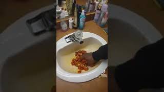 AA Makes Chicken Gizzards in the Bathroom Sink