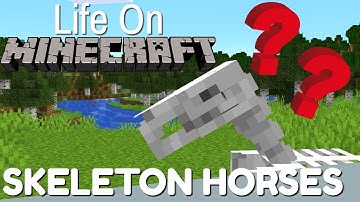 Minecraft: All About the Skeleton Horse | Life on Minecraft (Avomance 2019)