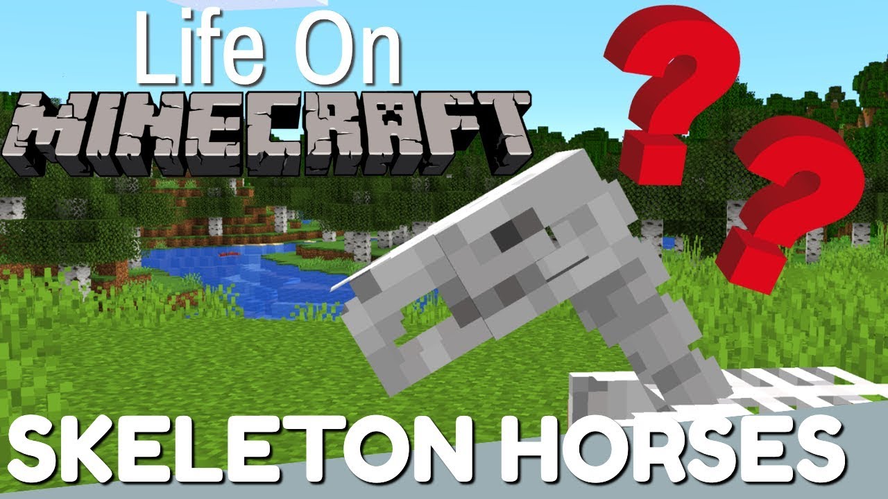 Minecraft All About The Skeleton Horse Life On Minecraft Avomance 2019 Youtube,How To Clean A Front Load Washer Seal