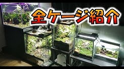 アクルaquru