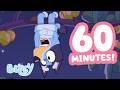 LIVE Bluey S Fruitbat Dream Bluey Clips Livestream Bluey 