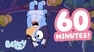 Download Lagu 🔴LIVE: Bluey's Fruitbat Dream! 😴 🦇 | Bluey Clips Livestream 💙 | Bluey MP3