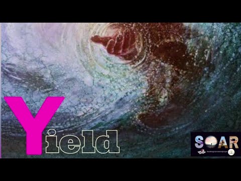 S.O.A.R // Y - Yield: Thy Will Be Done