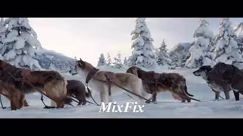 ELGIT DODA - LARG(MixFix remix)(Movie_the call of the wild)(480P)