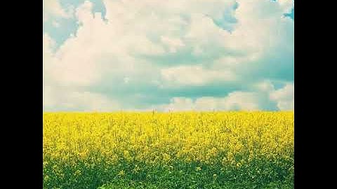 ماتيسر من سورة مريم بصوت القارئ حسام الدين عبادي.🌺🌼💗