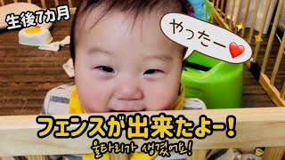 【Juny TV】 ジュニのフェンスがやってきた！ジュニの反応は？쥬니의 울타리를 만들어줬어요! 쥬니의 반응은?