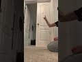 IMPOSSIBLE BLIND DOOR BOUNCE SHOT! #trickshots #dudeperfect #shorts #viral #familyfun #youtubeshorts