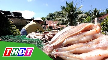 Nhộn nhịp làng nghề làm khô, nước mắm vùng biên Đồng Tháp | THDT