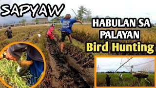 Panghuhuli ng Ibon Grabe Ang Habulan | Bird Hunting | LifeMoto Buhay Bukid