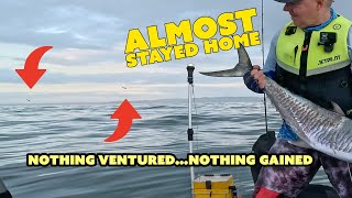 I Almost Didn’t Go… Then This Happened | Big Mackerel Mayhem