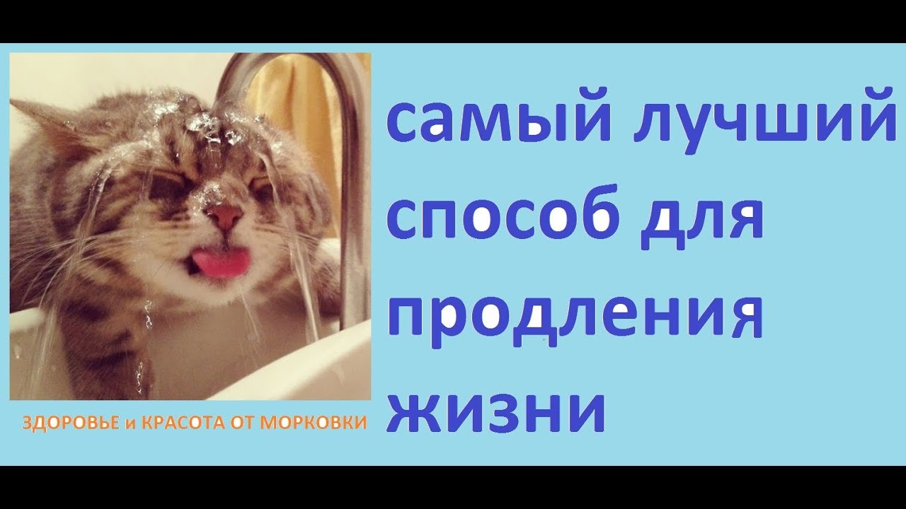 самый лучший способ для продления жизни