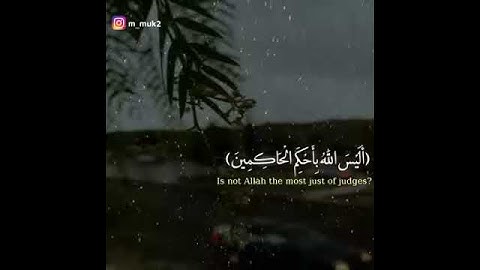 سورة التين الشيخ بندر بليلة