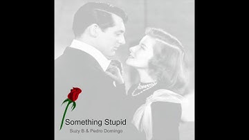Something Stupid (cover)