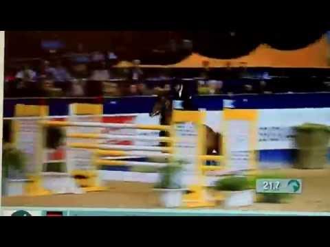 CABALLO CELTA YAR. SHOWJUMPING DORTMUND