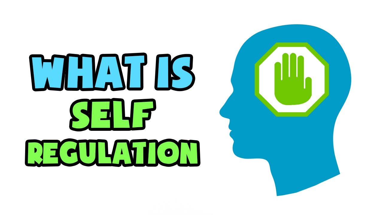 meaning of self regulation essay