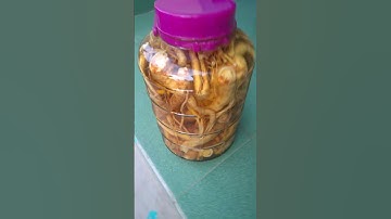 shorts video - Rượu ngâm rễ đinh lăng màu đẹp #shorts .