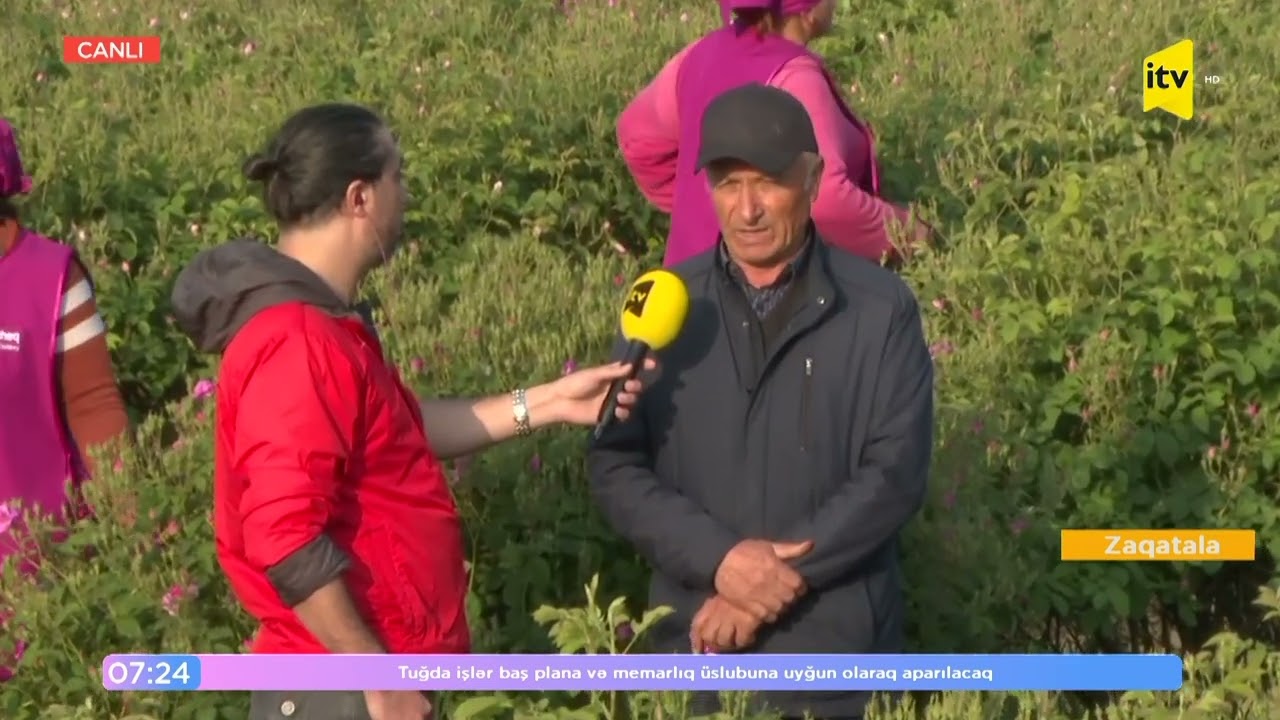 Zaqatalanın qızılgülləri hansı dünya ölkələrinə ixrac olunur?