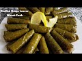 Stuffed grape leaves warak enab with pomegranate sauce