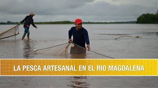 Como se hace Pesca Artesanal en el Rio Magdalena- TvAgro por Juan Gonzalo Angel Restrepo