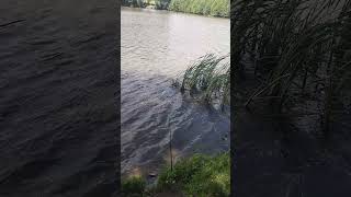 Река Черемшанка.
