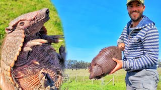 HUNTING FOR HAIRY DOGS!! In search of the little mule. He came out to say hello!! NOT TO BE MISSED