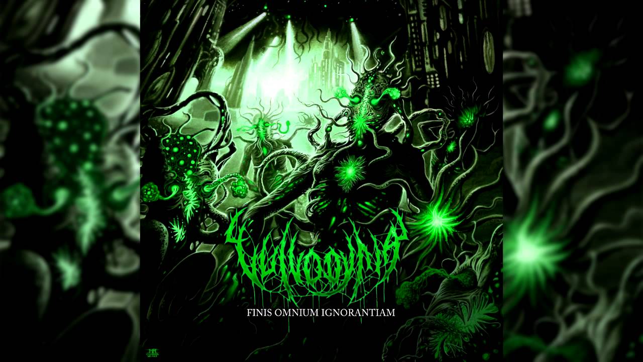 Vulvodynia - Finis Omnium Ignorantiam (Full Instrumental Album