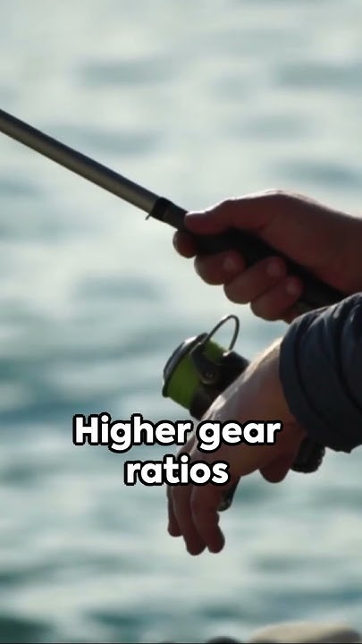 what-do-gear-ratios-mean-in-fishing-reels-shorts-fishingreels