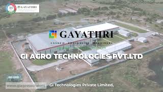Ultra Modern Fully Automatic Turnkey Cashew Processing Machine | t Ltd