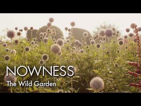 Video: Garden Architecture