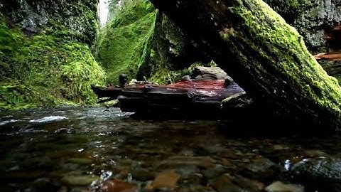 سورة الإسراء للشيخ  حسن صالح _قرآن للمساعدة على النوم والراحة النفسية😴القاريء حسن صالح