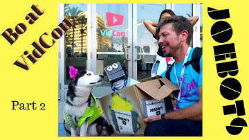 Bo at VidCon 2017 - Part 2 // JoeBots