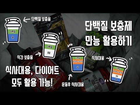 단백질 보충제 만능 활용하기! 식사대용, 벌크업, 다이어트!