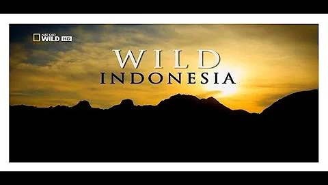 Wild Indonesia S1E3 Land Of Dragons