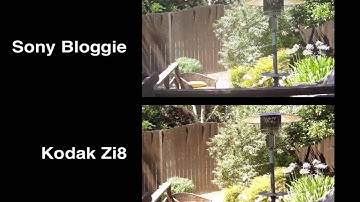 Sony Bloggie vs. Kodak Zi8 - Portable HD Video Recorder Comparison by HighTechDad