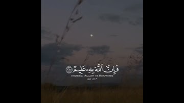 من سورة البقرة بصوت أحمد النفيس - حالات واتس
