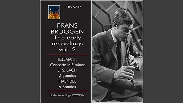 Concerto for Recorder & Flute in E Minor, TWV 52:e1: I. Largo