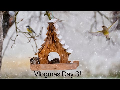 Vlogmas Day 3!