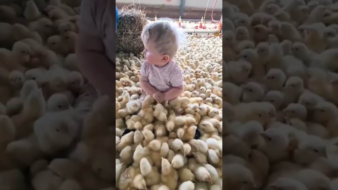 cute baby and baby chick🐥