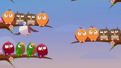 Color Bird Sort - Puzzle Game - Level 40-50 Gameplay | NOOB vs PRO vs MASTER vs HACKER