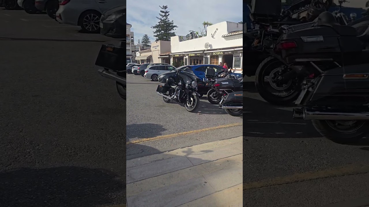 What harley is your favourite? 