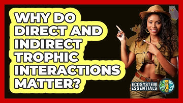Why Do Direct And Indirect Trophic Interactions Matter? - Ecosystem Essentials