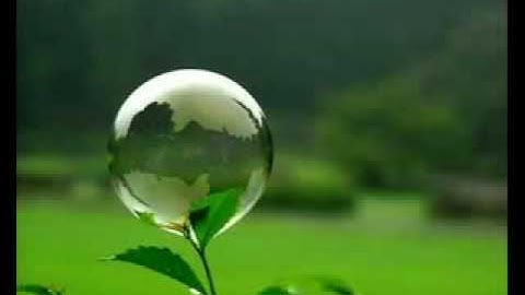 تلاوه رائعه -الشبل محمد طه.flv